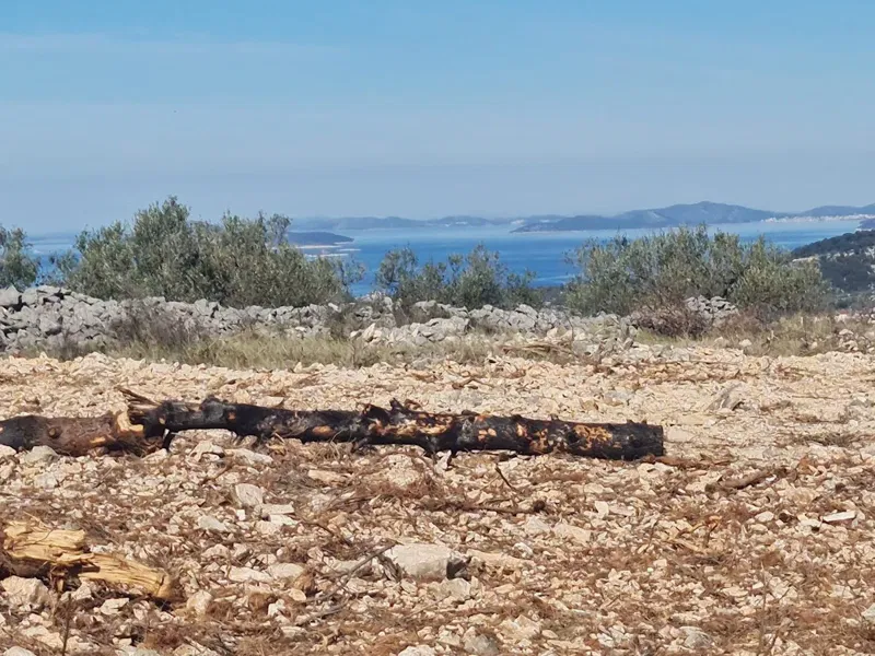Agricultural land with sea views – 2