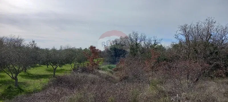 Non-structural plot Majmajola, Vodnjan, 8.511m2 – 3