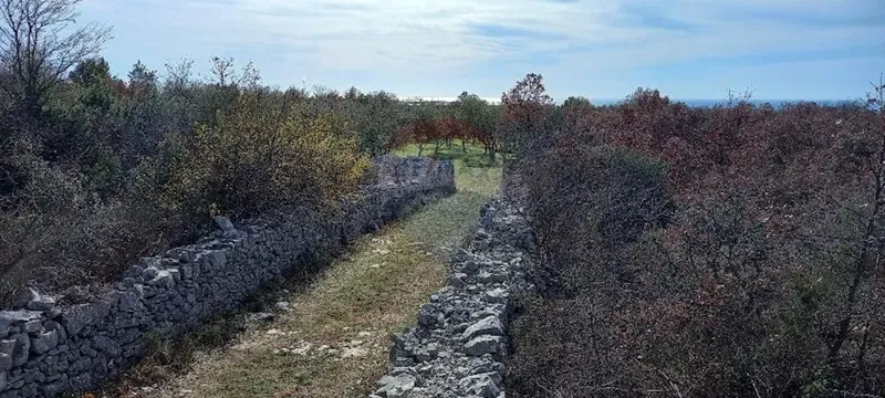 Terreno non edificabile Gajana, Vodnjan, 6.974m2 – 3