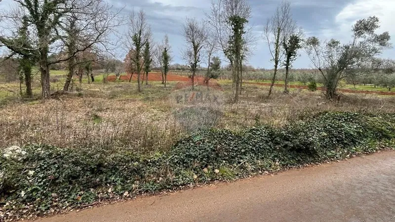 Building plot Tar, Tar-Vabriga, 503m2 – 3
