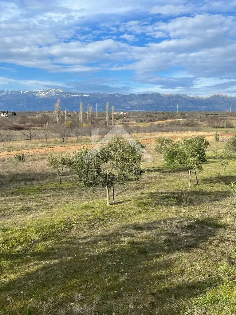Terreno Pridraga – 2