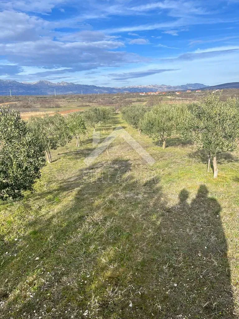 Terreno Pridraga – 3