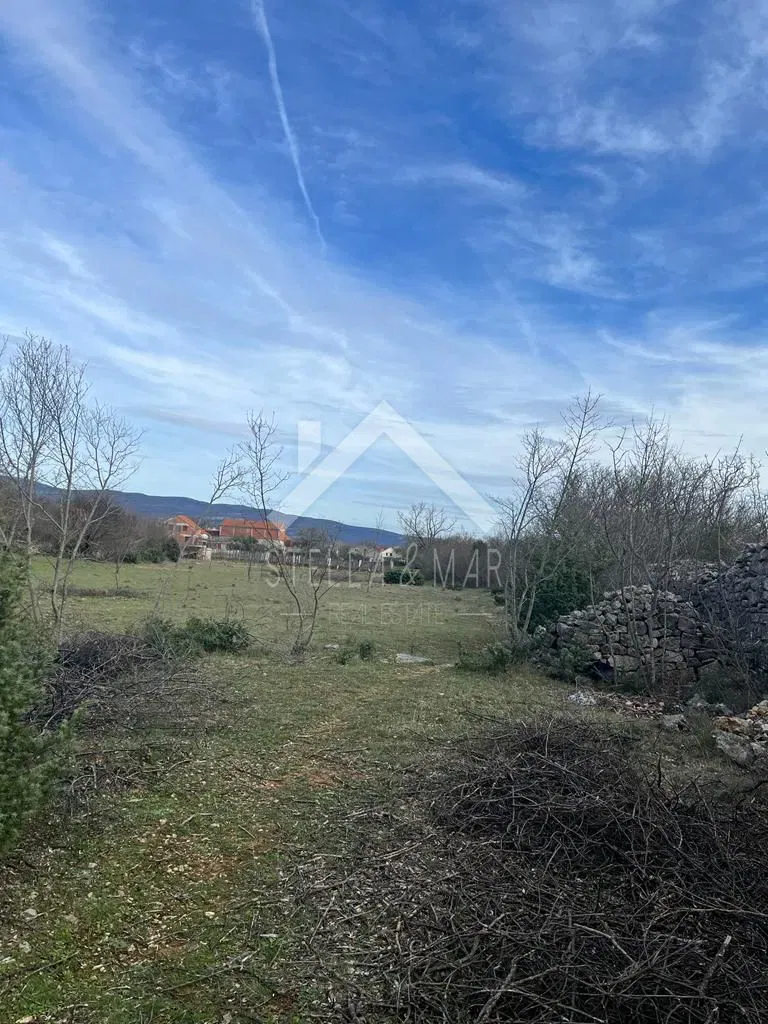 Land Pridraga, Novigrad, 3.600m2 – 2