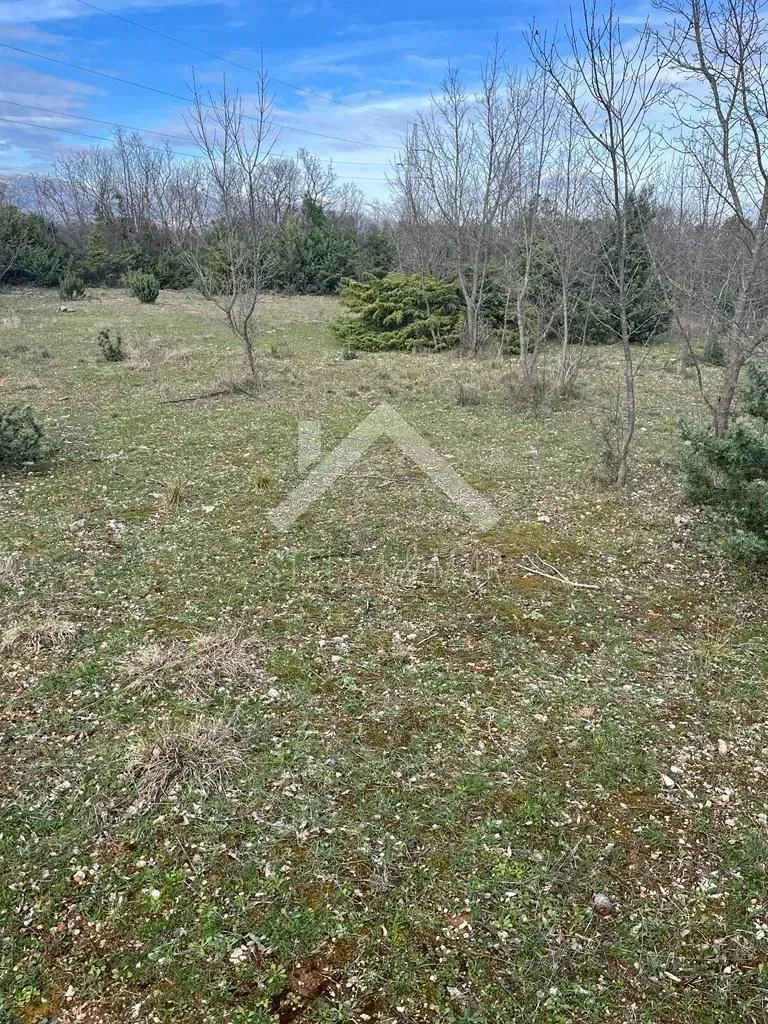 Land Pridraga, Novigrad, 3.600m2 – 3