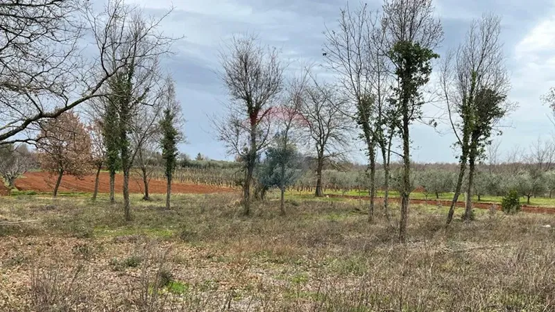 Building plot Vabriga, Tar-Vabriga, 252m2 – 2