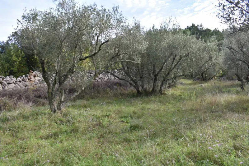 Zemljišče Krk, 1.827m2 – 3