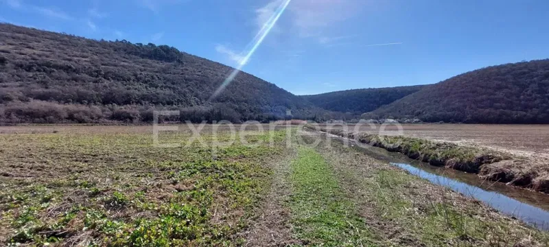 Mirna River Valley - agricultural land, 6.958 m² – 2