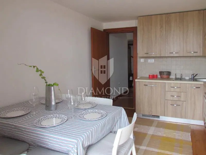 Brtonigla, renovated apartment with a beautiful view – 3