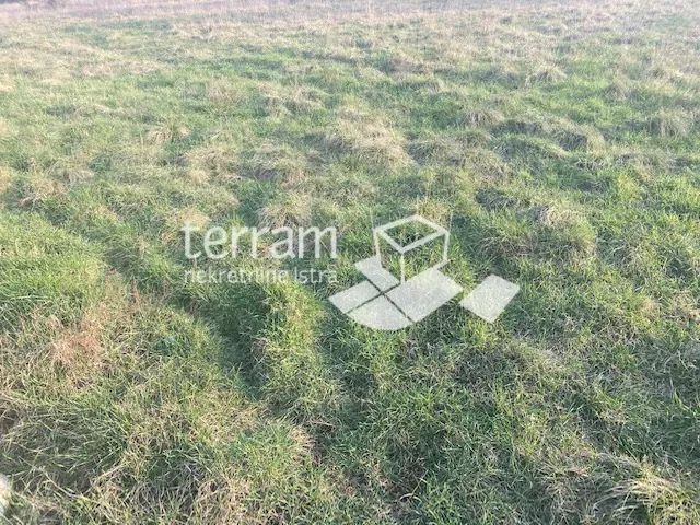 Istria, Fažana, surroundings, agricultural land, 2400m2!! #sale – 3