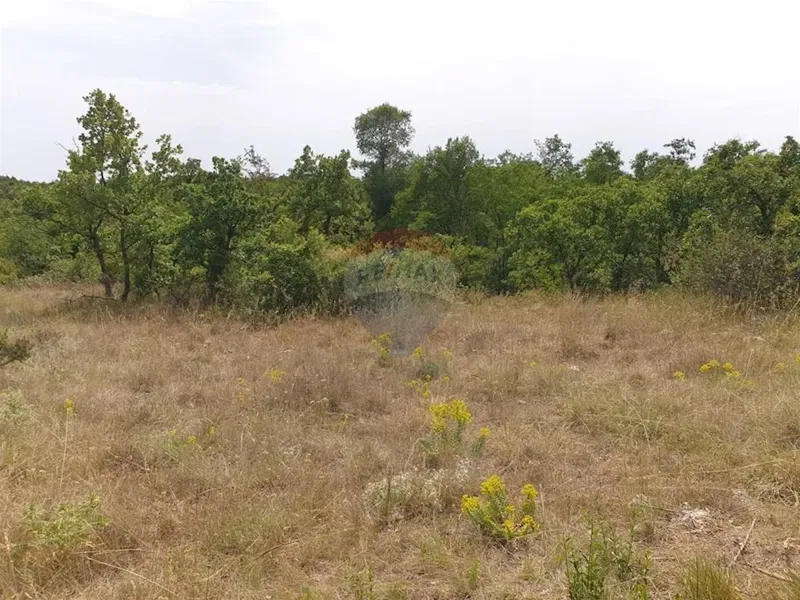 Non-structural plot Marčana, 1.467m2 – 2