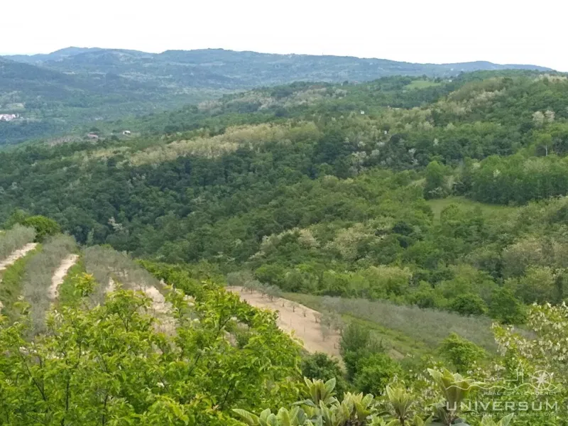 Building plot with a view of Motovun, old town center and nature in Vižinada – 2