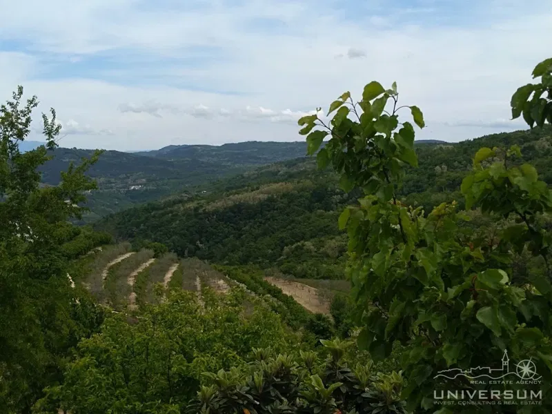 Building plot with a view of Motovun, old town center and nature in Vižinada – 3
