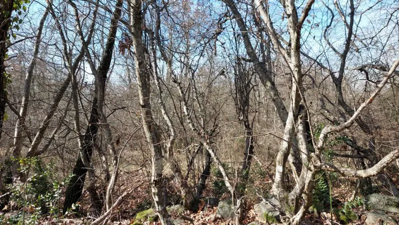 Terreno Poreč, 23.308m2 – 2