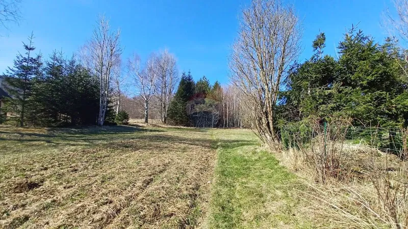 Telek Lič – 2