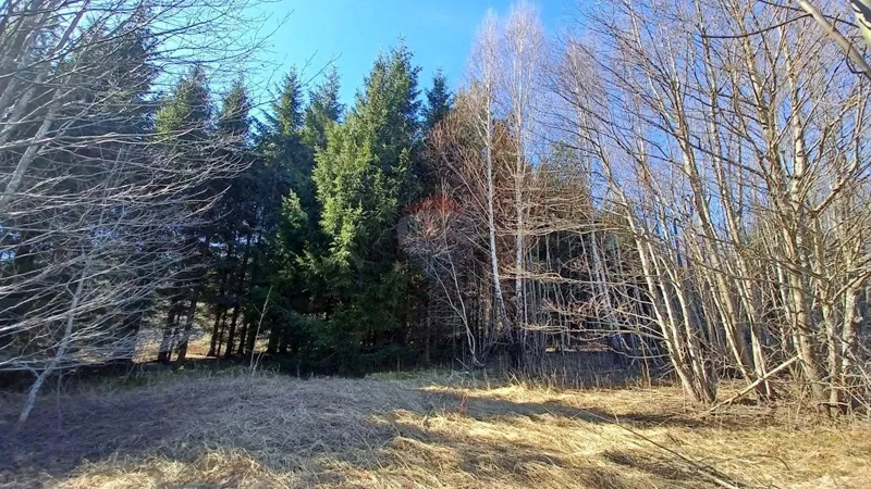Telek Lič – 3
