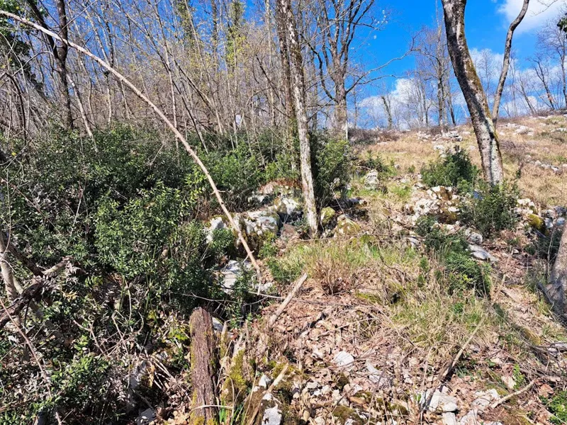 Building plot Mučići, Matulji, 1.955m2 – 3