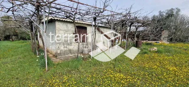 Istria, Fasana, terreno 3800m2 con edificio legalizzato 68m2, elettricità, acqua! #vendita – 2