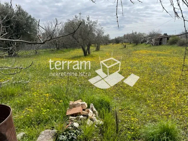 Istria, Fasana, terreno 3800m2 con edificio legalizzato 68m2, elettricità, acqua! #vendita – 3