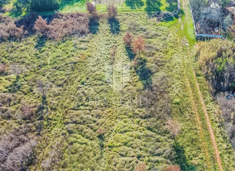 Umag, large building land for investment! – 2