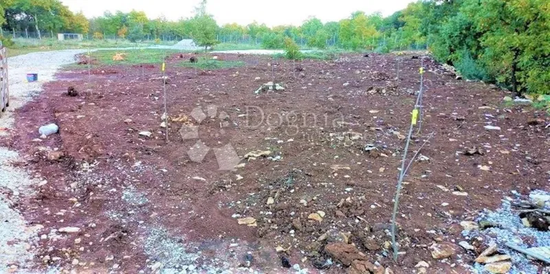 Land Svetvinčenat, 27.000m2 – 3