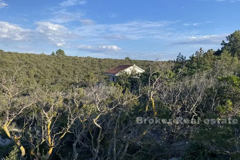 Agricultural land near the sea – 2