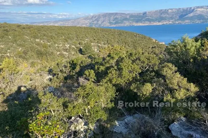 Agricultural land near the sea – 3