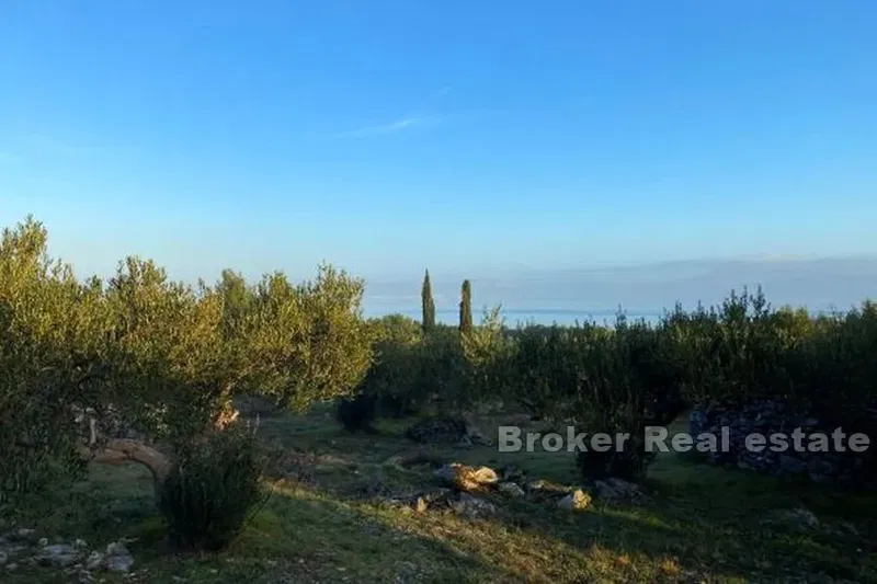 Agricultural land with a sea view – 2