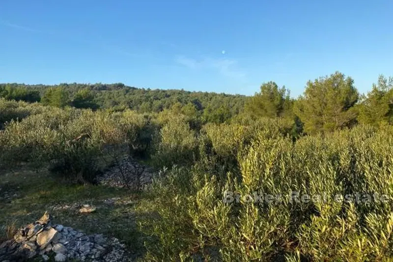 Agricultural land with a sea view – 3