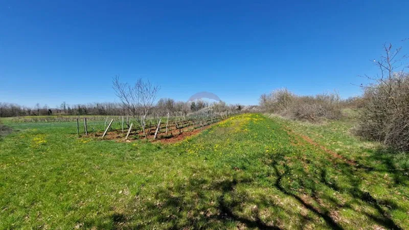 Non-structural plot Savičenta, Vodnjan, 2.305m2 – 3