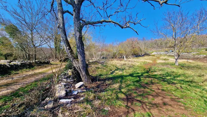 Terreno edificabile Završje, Grožnjan, 1.730m2 – 2