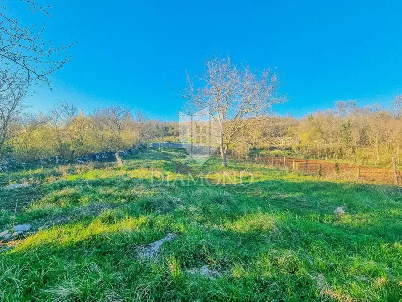 Telek Grožnjan – 2