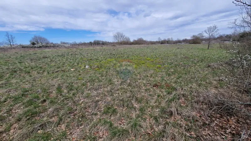 Terreno non edificabile Bokordići, Svetvinčenat, 5.565m2 – 2