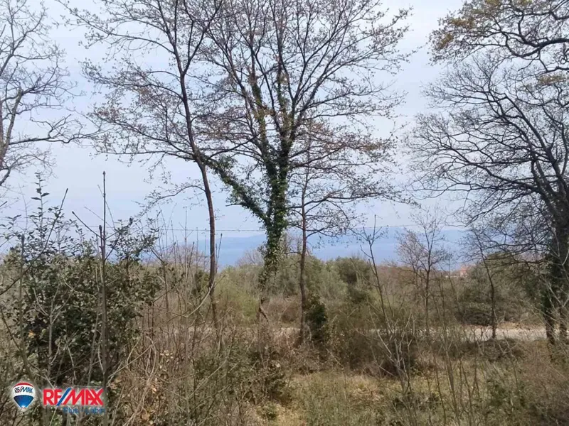 Telek Drenje – 2