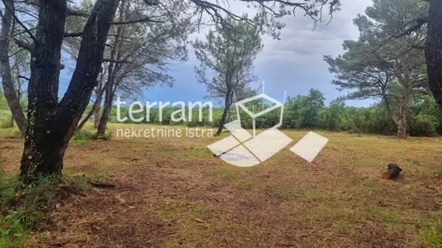 Istria, Dignano, terreno agricolo 2991m2 al confine dell'urbanizzazione!! #vendita – 3