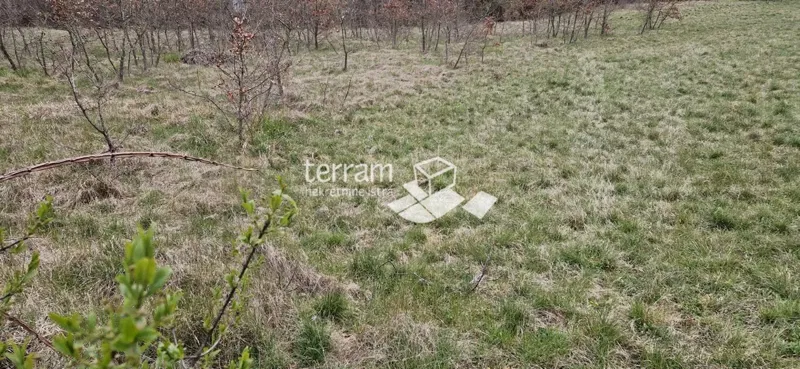Istria, Barban, building plot 3007m2 for sale – 3