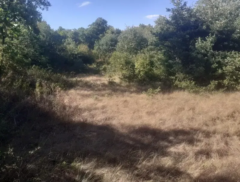 Land Svetvinčenat, 140.000m2 – 2
