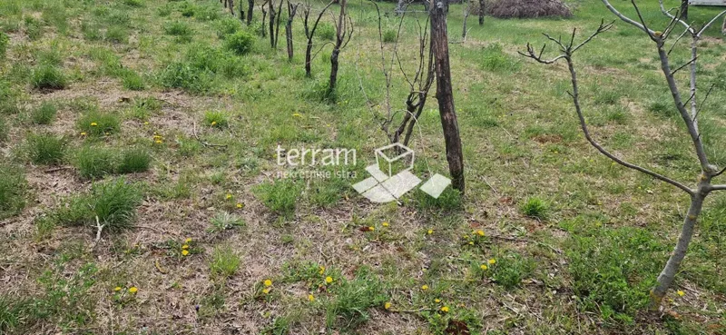 Istria, Barban, detached house 139 m2 with garden 2033 m2 for sale – 2