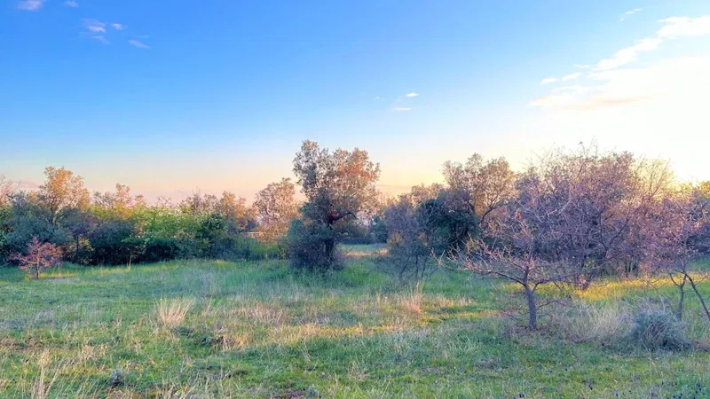 Building plot Galižana, Vodnjan, 7.637m2 – 3