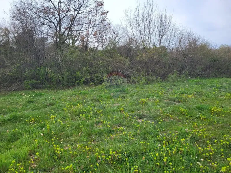 Telek Manjadvorci – 2