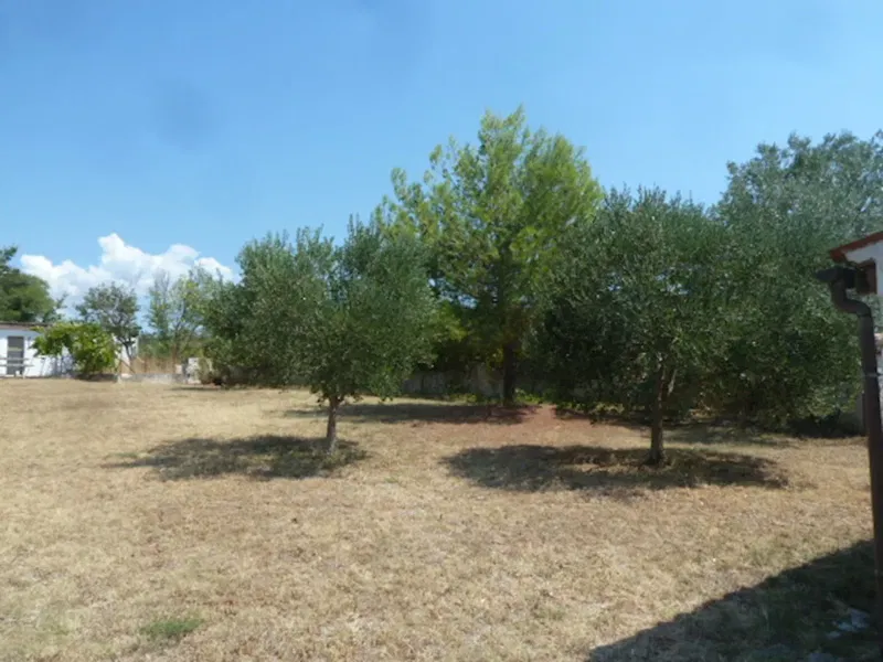 Dom Vodnjan – 2