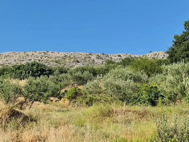 A unique opportunity! Building land with a project for the construction of a residential and commercial complex – 2