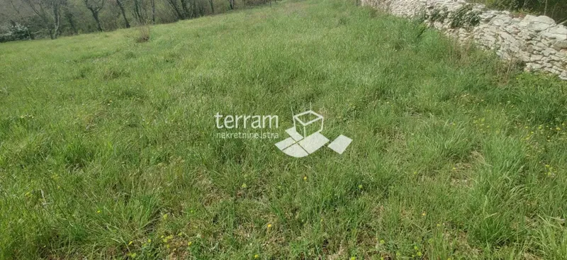 Telek Marčana – 2