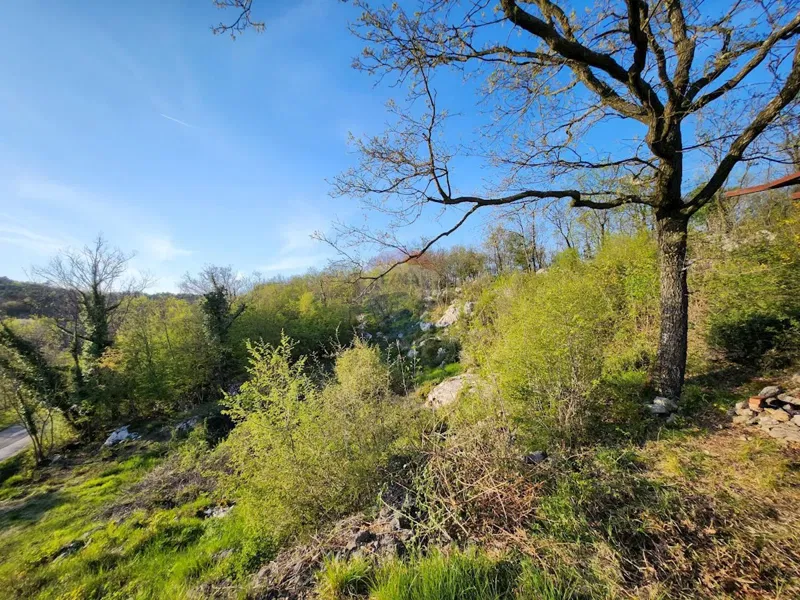 Telek Cernik – 2