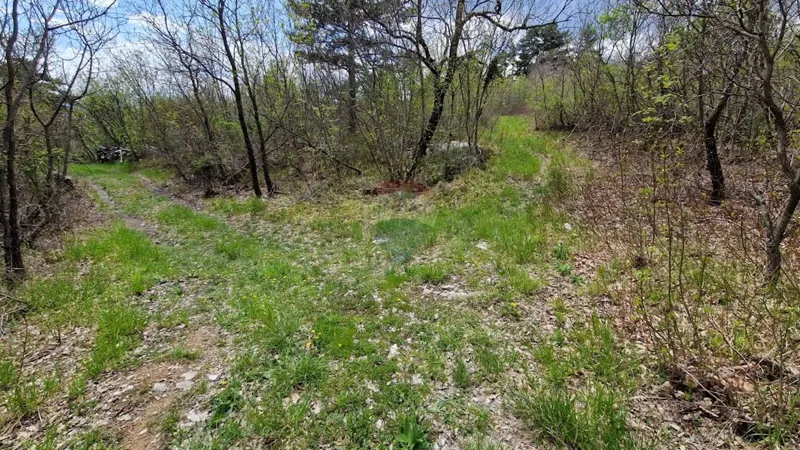 Building plot Ročko Polje, Buzet, 8.323m2 – 3