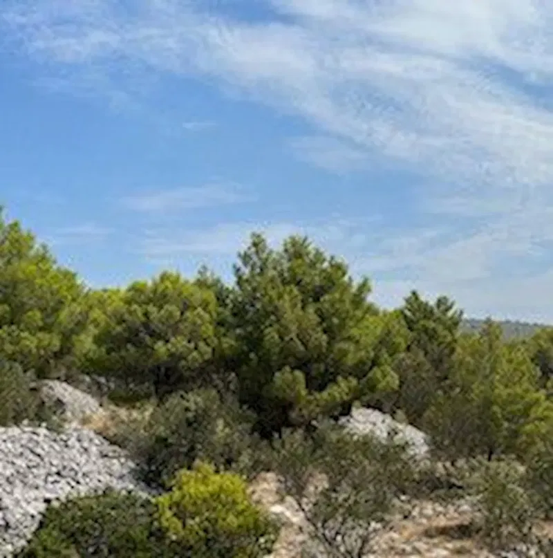Terreno edificabile Milna, 5600 m2 – 2