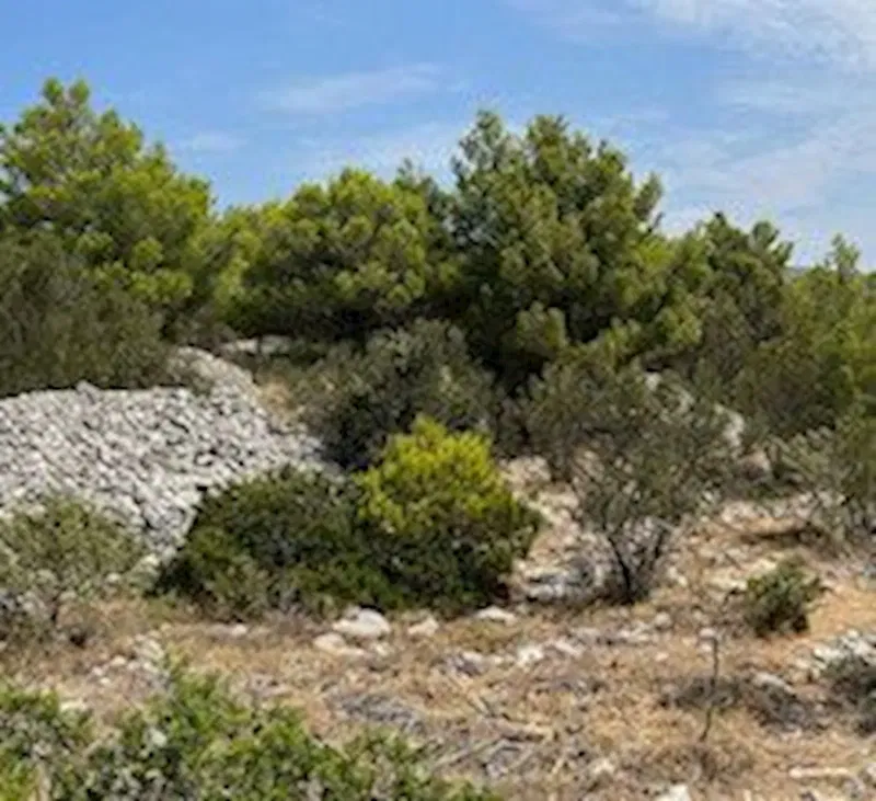 Terreno edificabile Milna, 5600 m2 – 3
