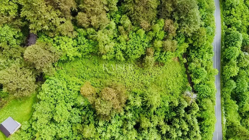 Building land Crni Lug, Delnice, 1.324m2 – 2