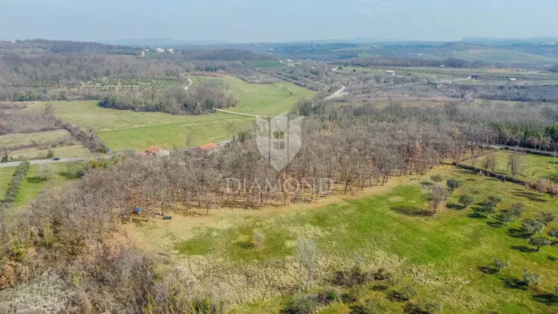Buje, surroundings! Spacious land with investment potential – 3