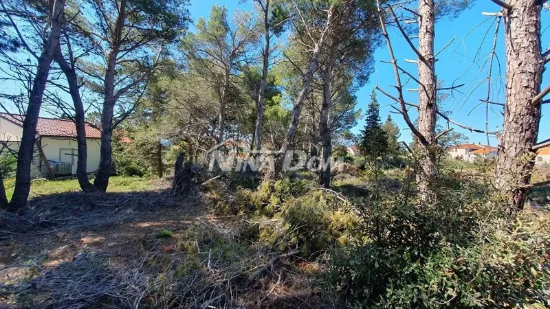 Terreno Vir – 2