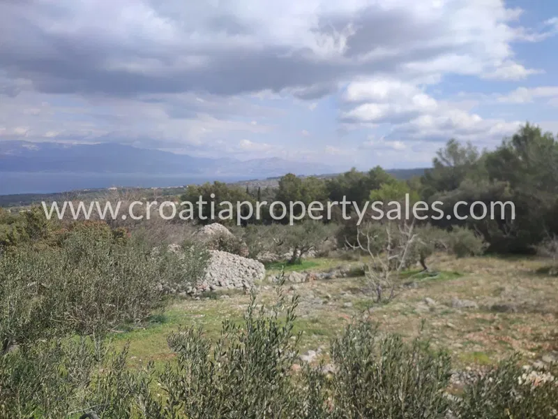Brac, agricultural land for sale, 197.000 € – 2